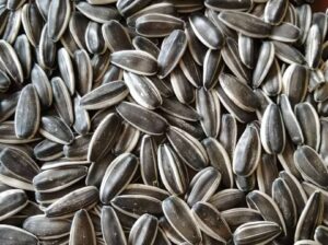 sunflower seeds whatsap +255742638024