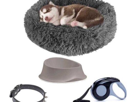 Pack produits petit chien