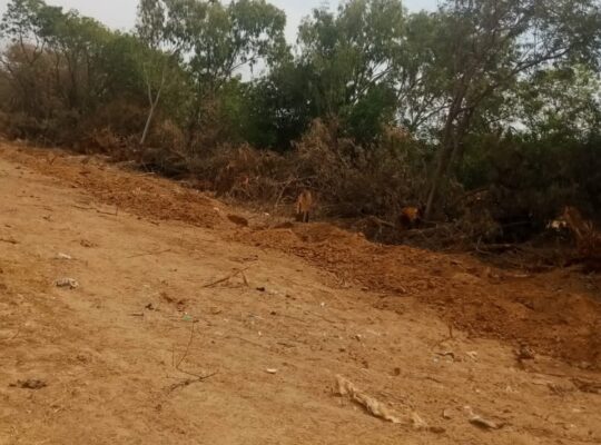 Terrain 400 mètres carrés à Saly