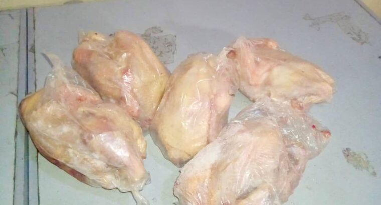 POULET A VENDRE