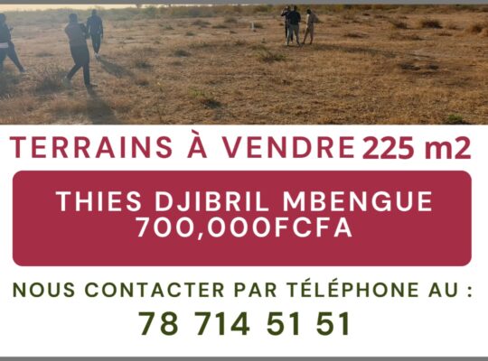 VENTE DE TERRAIN A THIES