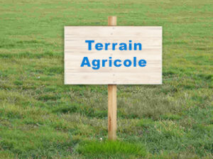 Terrain agricole de 500 ha à vendre