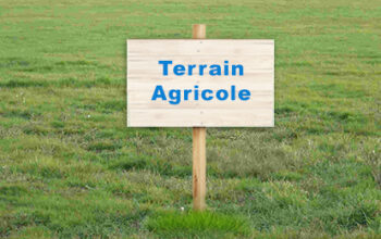 Terrain agricole de 500 ha à vendre